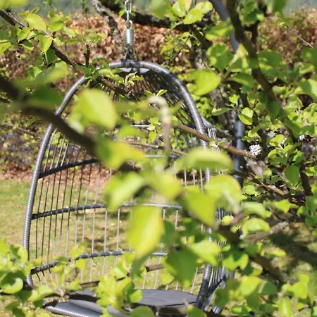 호텔 Torvis Luster